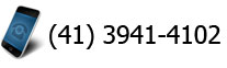 (41) 3941-4102